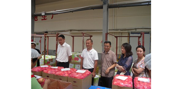 《綠色食品品質(zhì)、營(yíng)業(yè)功能評(píng)價(jià)標(biāo)準(zhǔn)課題》調(diào)研在棲霞德豐開展
